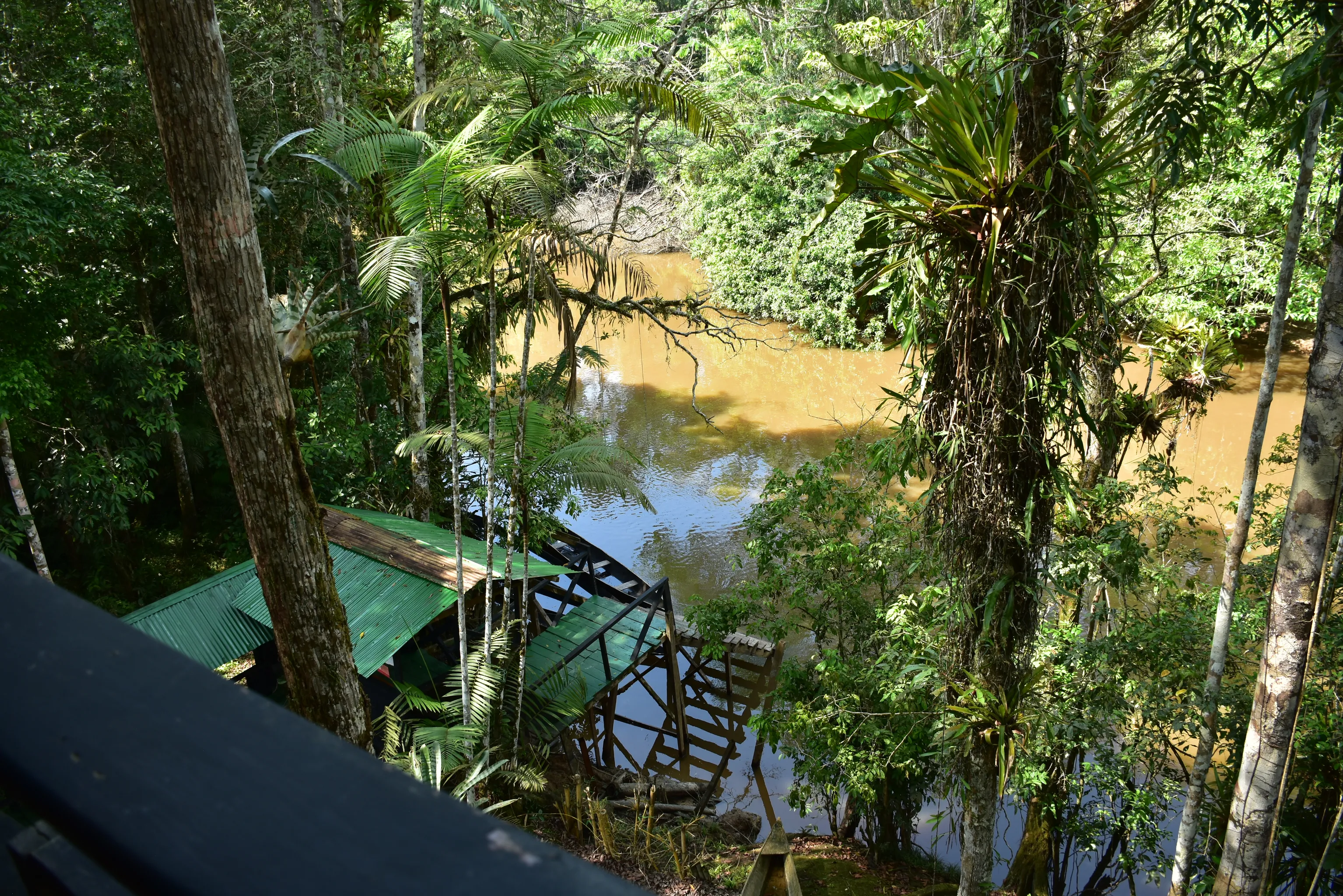 Cuyabeno jungle tour from Tapir Lodge