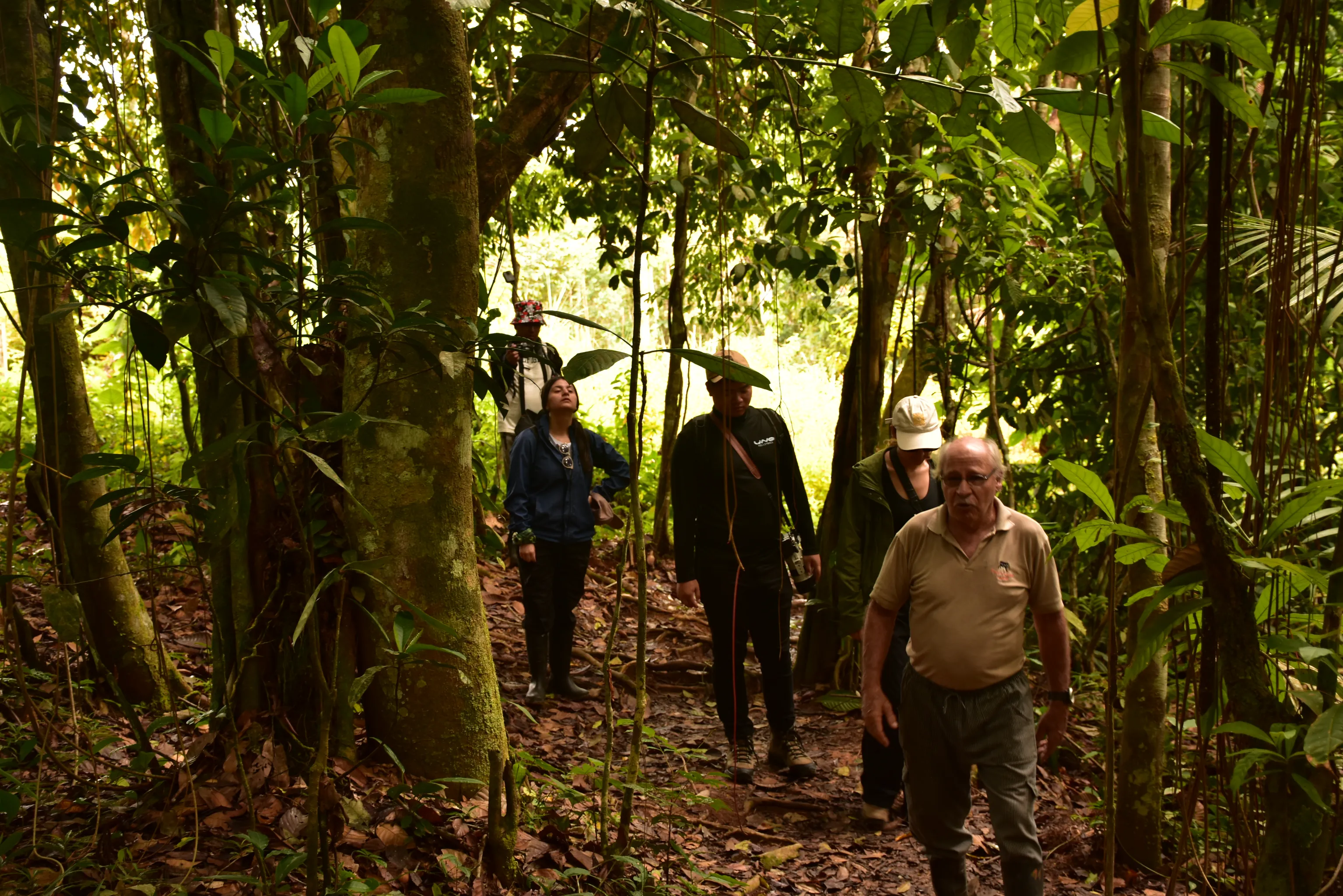 The story of Tapir Lodge 2