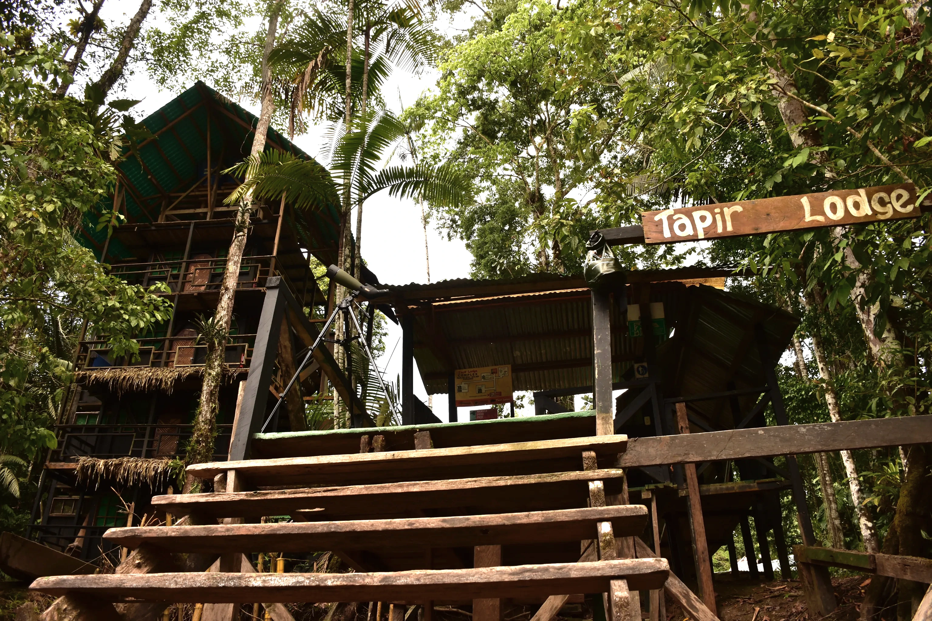 Tapir Lodge front view in the Amazon canopy