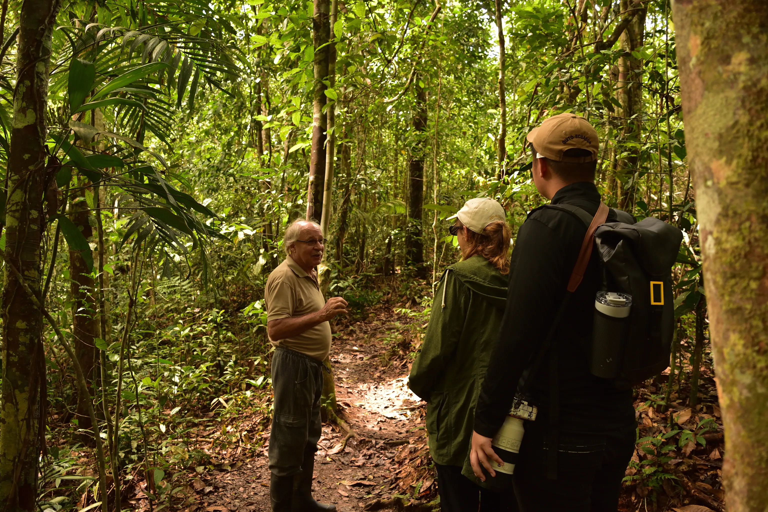Torres habitables integradas en la selva inundada de Cuyabeno