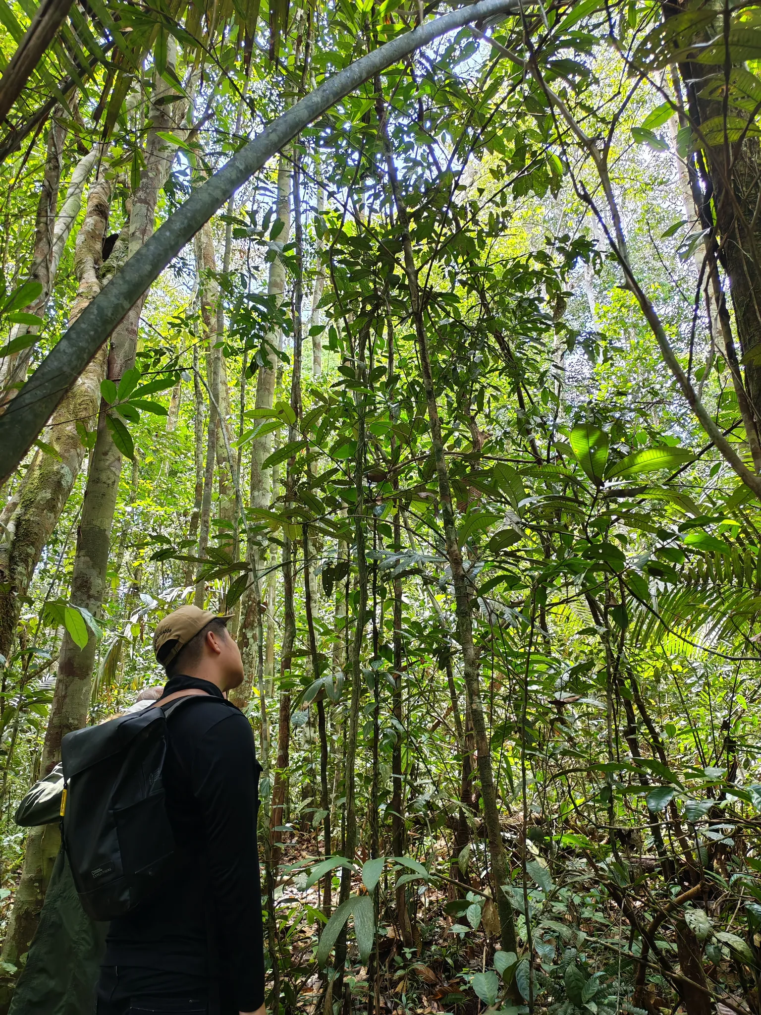 Rainforest and community around Tapir Lodge slide-11 top