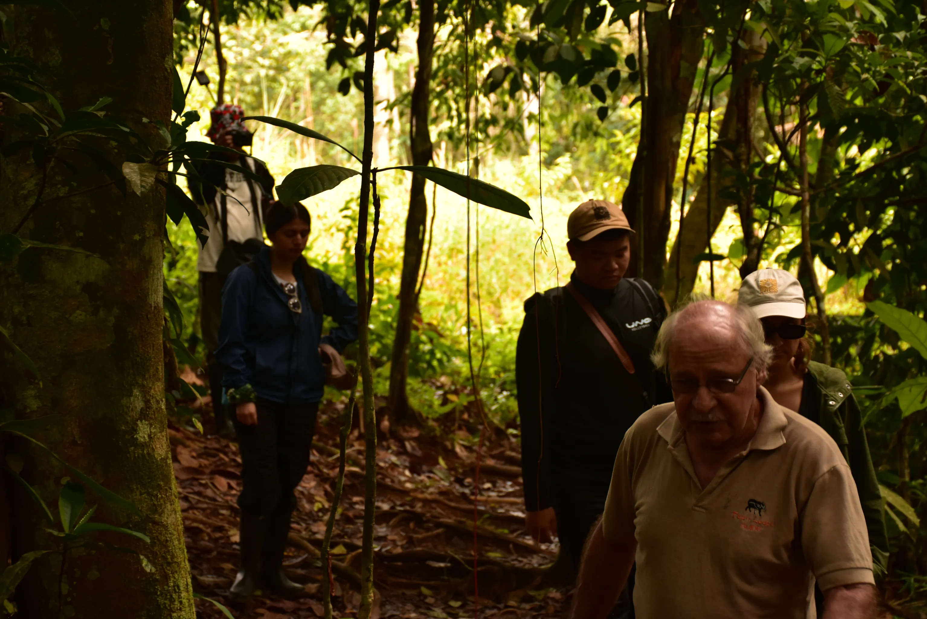 The story of Tapir Lodge